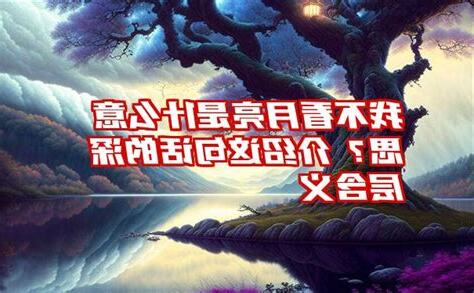 我不看月亮 意思